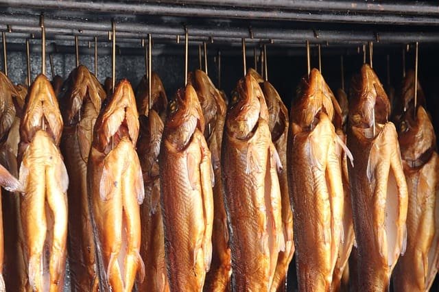 Alimentos procesados Alimentos procesados