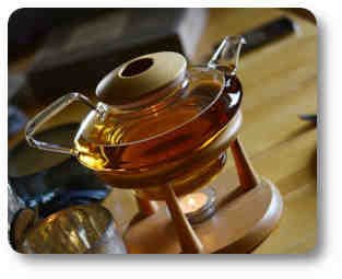 infusión plantas y árboles medicinales