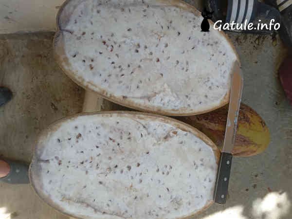 Crescentia Cujete Crescentia cujete abierto a la mitad