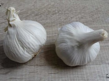 bulbos o cabezas de ajo